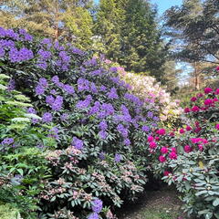 23-06-03 17-02-51 5814